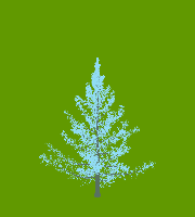 greenshift tree
