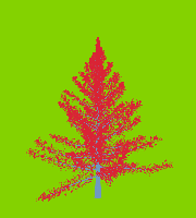 greenshift tree