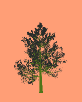 greenshift tree