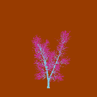 greenshift tree