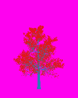 greenshift tree