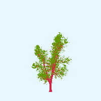 greenshift tree