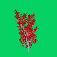 greenshift tree