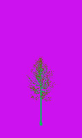 greenshift tree