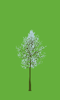 greenshift tree