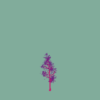 greenshift tree