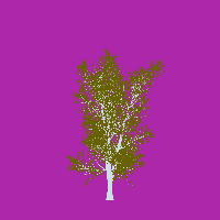 greenshift tree