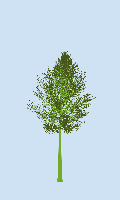 greenshift tree