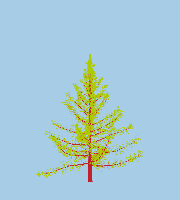 greenshift tree