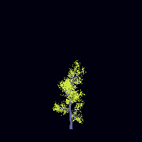 greenshift tree