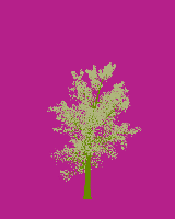 greenshift tree