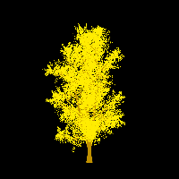 greenshift tree