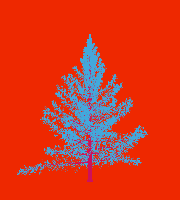 greenshift tree
