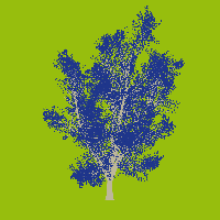 greenshift tree