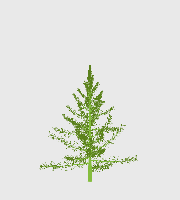 greenshift tree