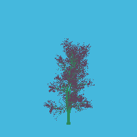 greenshift tree