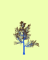 greenshift tree