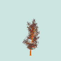 greenshift tree
