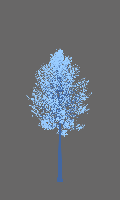 greenshift tree