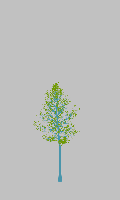 greenshift tree