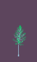 greenshift tree