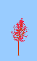 greenshift tree