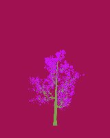greenshift tree