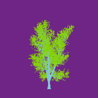 greenshift tree