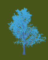 greenshift tree
