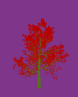 greenshift tree