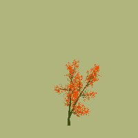 greenshift tree