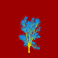 greenshift tree