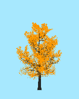 greenshift tree