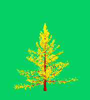 greenshift tree