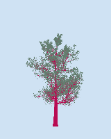 greenshift tree