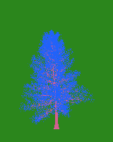 greenshift tree