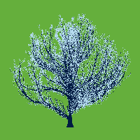 greenshift tree