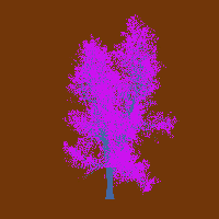 greenshift tree