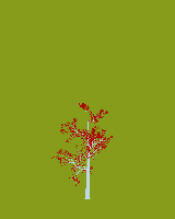 greenshift tree