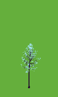 greenshift tree