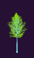 greenshift tree