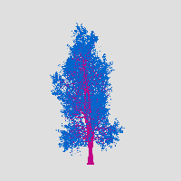 greenshift tree