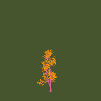 greenshift tree