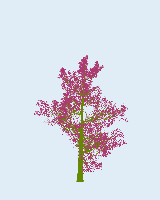 greenshift tree
