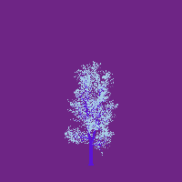greenshift tree