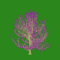 greenshift tree