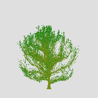 greenshift tree