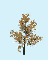 greenshift tree