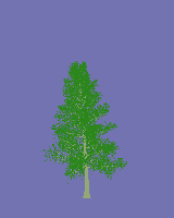 greenshift tree