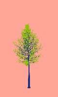 greenshift tree